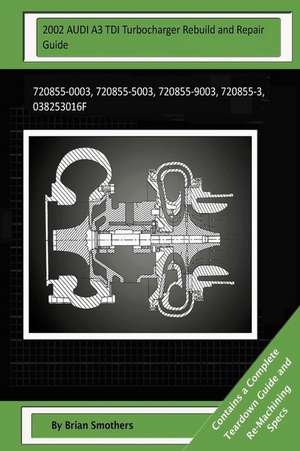 2002 Audi A3 Tdi Turbocharger Rebuild and Repair Guide de Brian Smothers