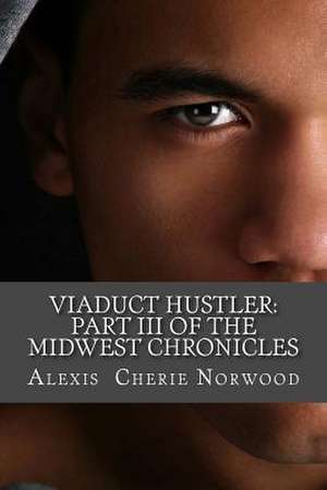 Viaduct Hustler de Alexis Cherie Norwood