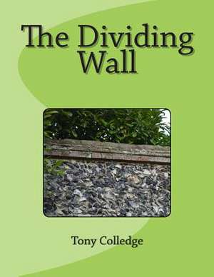 The Dividing Wall de Tony Colledge