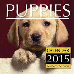 Puppies Calendar 2015 de James Bates