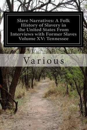 Slave Narratives de Various