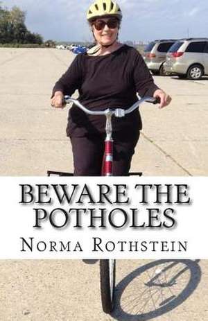 Beware the Potholes de Norma Rothstein