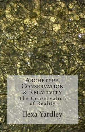 Archetype, Conservation & Relativity de Ilexa Yardley