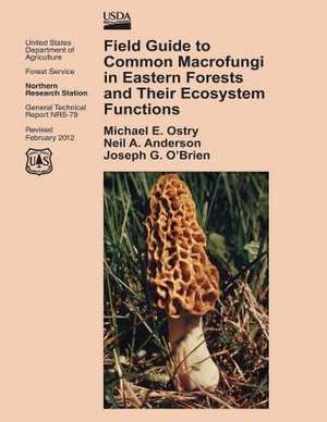 Field Guide to Common Macrofungi in Eastern Forests and Their Ecosystem Functions de United States Department of Agriculture