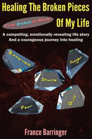 Healing the Broken Pieces of My Life de France Barringer