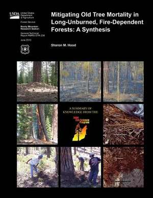 Mitigating Old Tree Mortality in Long-Unburned, Fire-Dependent Forests de Sharon M. Hood