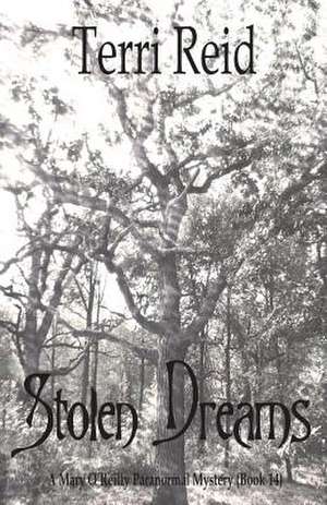 Stolen Dreams - A Mary O'Reilly Paranormal Mystery - Book Fourteen de Terri Reid