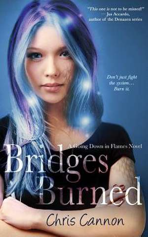 Bridges Burned de Chris Cannon