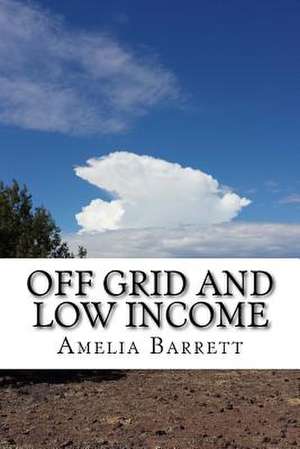 Off Grid and Low Income de Amelia Barrett