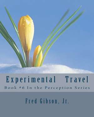 Experimental Travel de MR Fred Gibson Jr