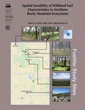 Spatial Variability of Wildland Fuel Characteristics in Northern Rocky Mountain Ecosystems de Keane