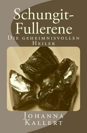 Schungit-Fullerene de Johanna Kallert