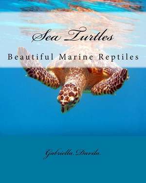 Sea Turtles de Gabriella Davila