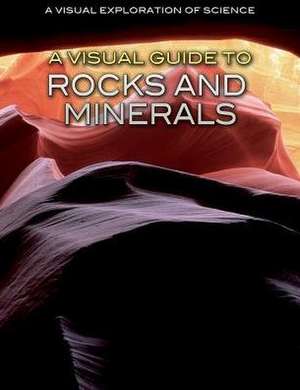 A Visual Guide to Rocks and Minerals de Diana Malizia