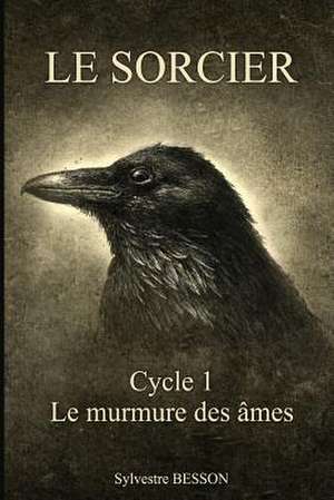 Le Sorcier de Sylvestre Besson