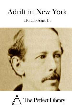 Adrift in New York de Horatio Alger