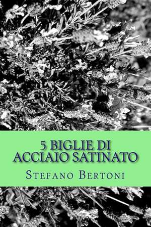 5 Biglie Di Acciaio Satinato de Stefano Bertoni MR