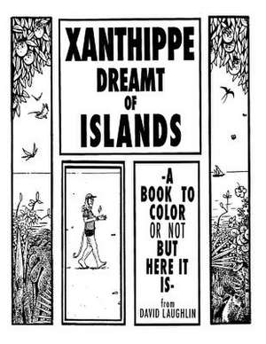 Xanthippe Dreamt of Islands de MR David Laughlin