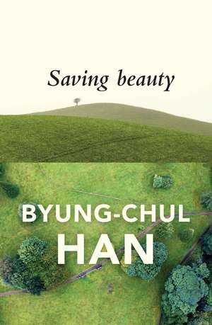 Saving Beauty de B Han