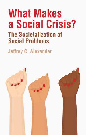 What Makes a Social Crisis? – The Societalization Of Social Problems de JC Alexander