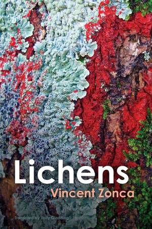 Lichens – Toward a Minimal Resistance de V Zonca