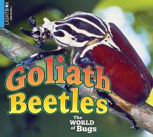 Goliath Beetles de Jared Siemens