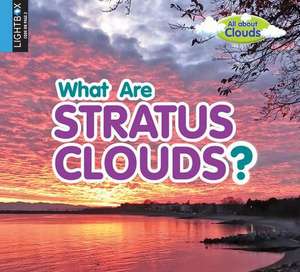 What Are Stratus Clouds? de Lynn Peppas