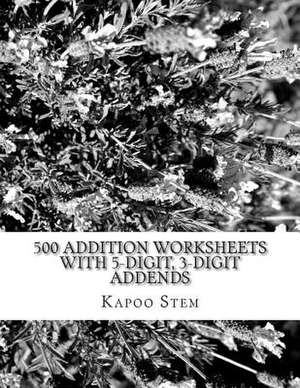 500 Addition Worksheets with 5-Digit, 3-Digit Addends de Kapoo Stem