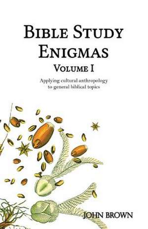 Bible Study Enigmas, Volume I de MR John L. Brown