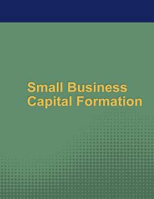 Small Business Capital Formation de Secruirites and Exchange Commission