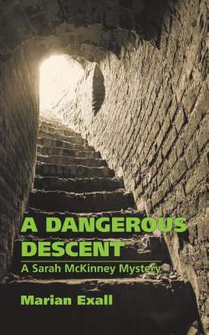 A Dangerous Descent de Marian Exall