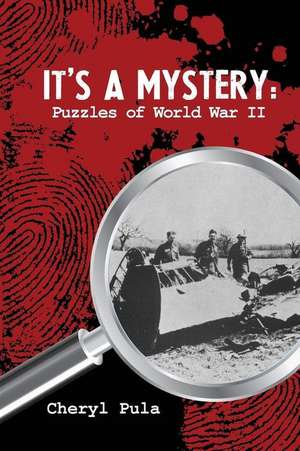 It's a Mystery, Volume 2 de Cheryl Pula