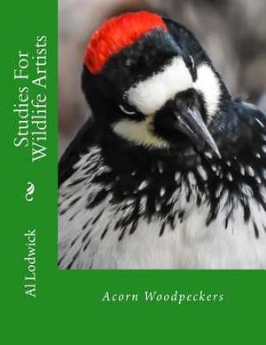 Acorn Woodpeckers de Al Lodwick