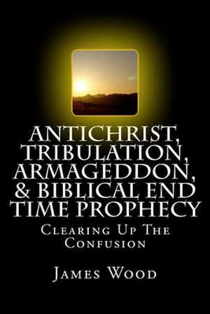 Antichrist, Tribulation, Armageddon, & Biblical End Time Prophecy de James Wood