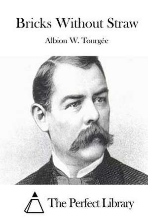 Bricks Without Straw de Albion W. Tourgee