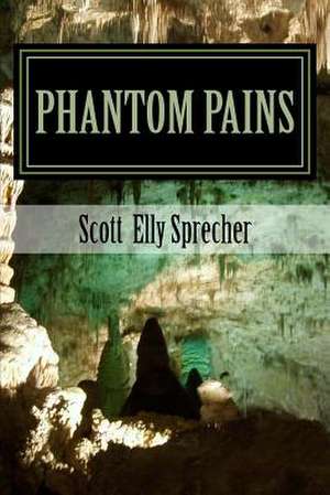 Phantom Pains de Scott Elly Sprecher