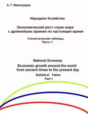 Economic Growth Around the World from Ancient Times to the Present Day de A. G. Vinogradov