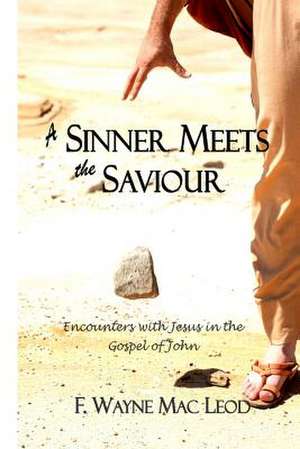 A Sinner Meets the Saviour de F. Wayne Mac Leod