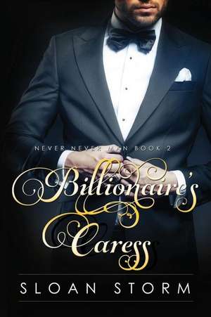 Billionaire's Caress de Sloan Storm