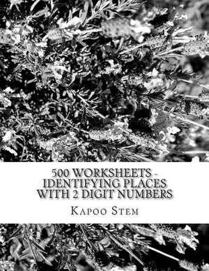 500 Worksheets - Identifying Places with 2 Digit Numbers de Kapoo Stem