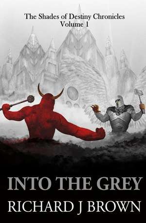 Into the Grey by Richard J Brown de MR Richard J. Brown