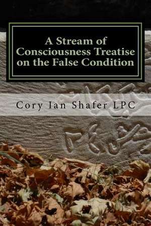 A Stream of Consciousness Treatise on the False Condition de Cory Ian Shafer