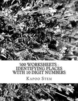 500 Worksheets - Identifying Places with 10 Digit Numbers de Kapoo Stem