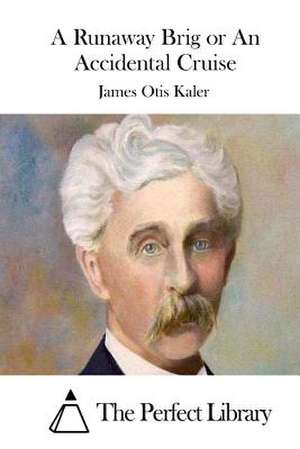 A Runaway Brig or an Accidental Cruise de James Otis Kaler