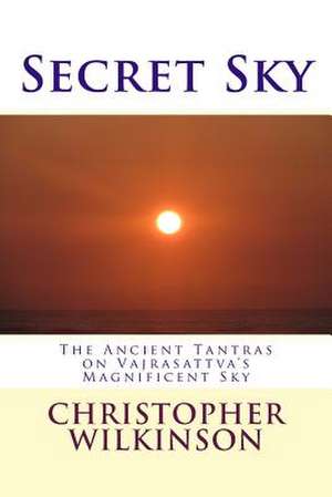 Secret Sky de Christopher Wilkinson