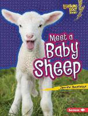 Meet a Baby Sheep de Jennifer Boothroyd