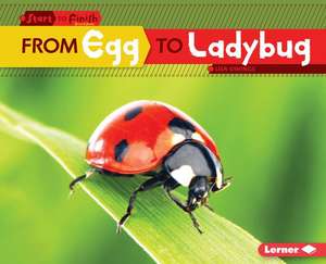 From Egg to Ladybug de Lisa Owings