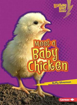 Meet a Baby Chicken de Buffy Silverman