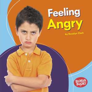 Feeling Angry de Rosalyn Clark