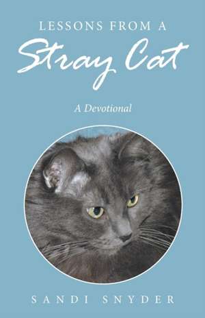 Lessons from a Stray Cat: A Devotional de Sandi Snyder